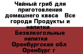 Чайный гриб для приготовления домашнего кваса - Все города Продукты и напитки » Безалкогольные напитки   . Оренбургская обл.,Оренбург г.